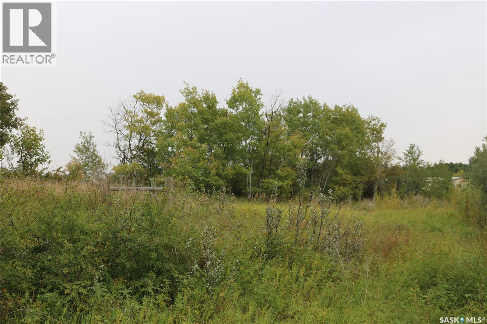 Brehaut Acreage, Martin Rm No. 122, Saskatchewan  S0G 3N0 - Photo 31 - SK035697