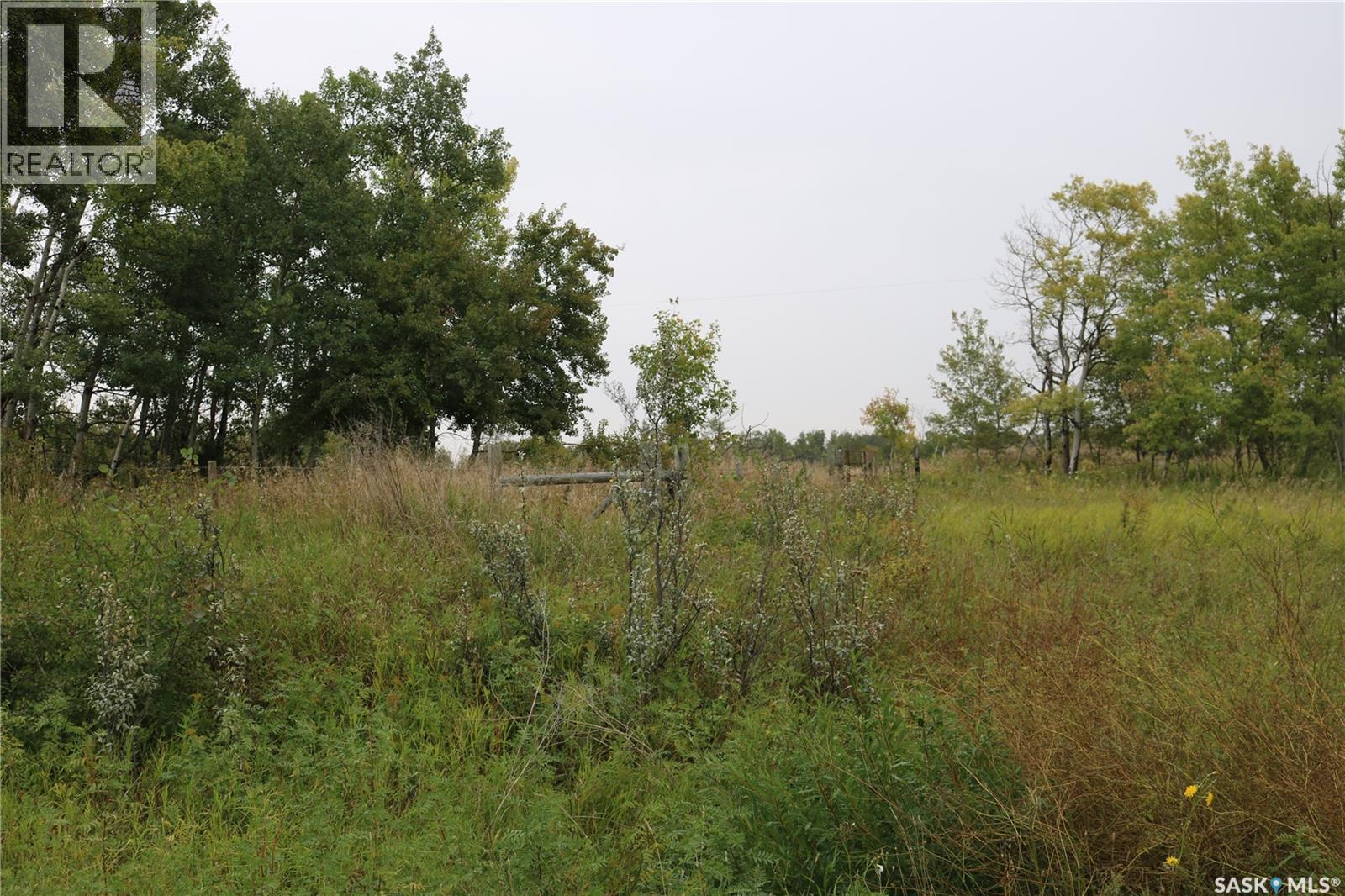 Brehaut Acreage, Martin Rm No. 122, Saskatchewan  S0G 3N0 - Photo 32 - SK035697