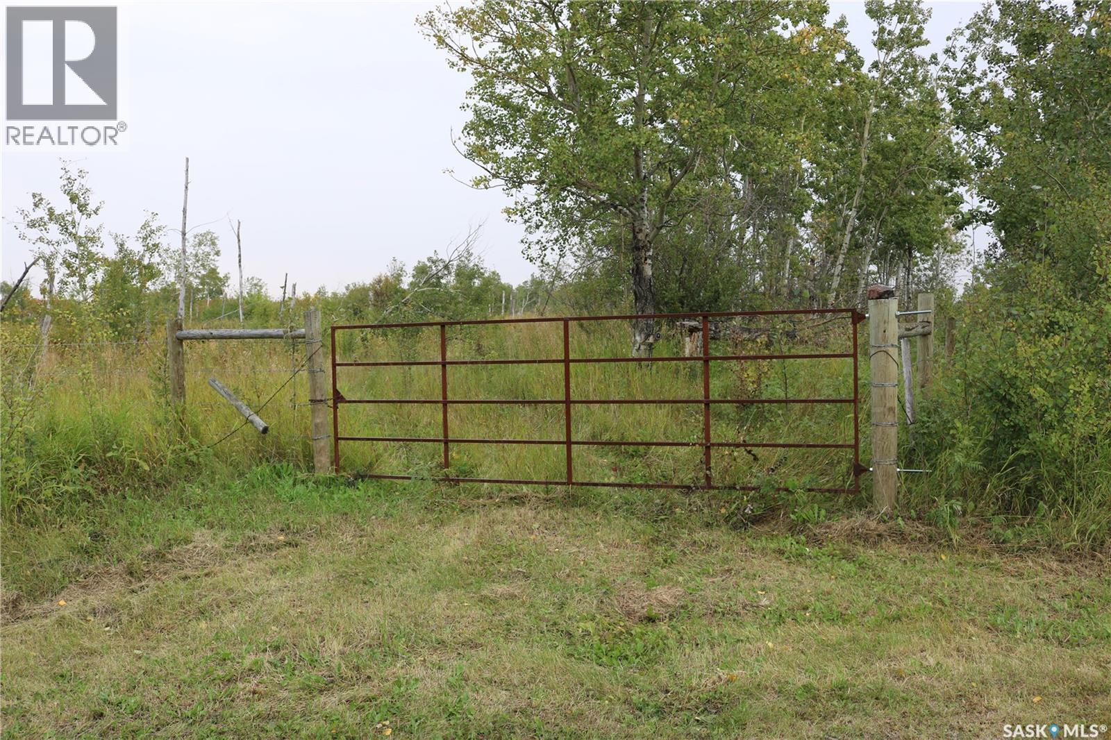 Brehaut Acreage, Martin Rm No. 122, Saskatchewan  S0G 3N0 - Photo 33 - SK035697