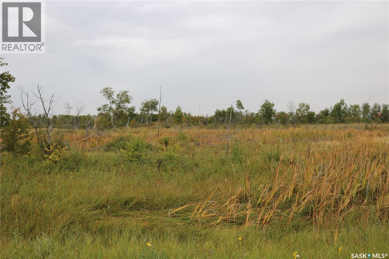 Brehaut Acreage, Martin Rm No. 122, Saskatchewan  S0G 3N0 - Photo 34 - SK035697
