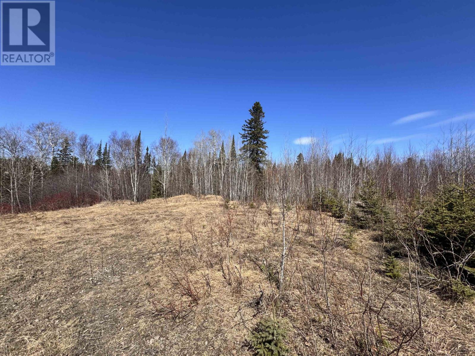 66 Hwy 105, Red Lake, Ontario  P0V 2M0 - Photo 4 - TB2600994