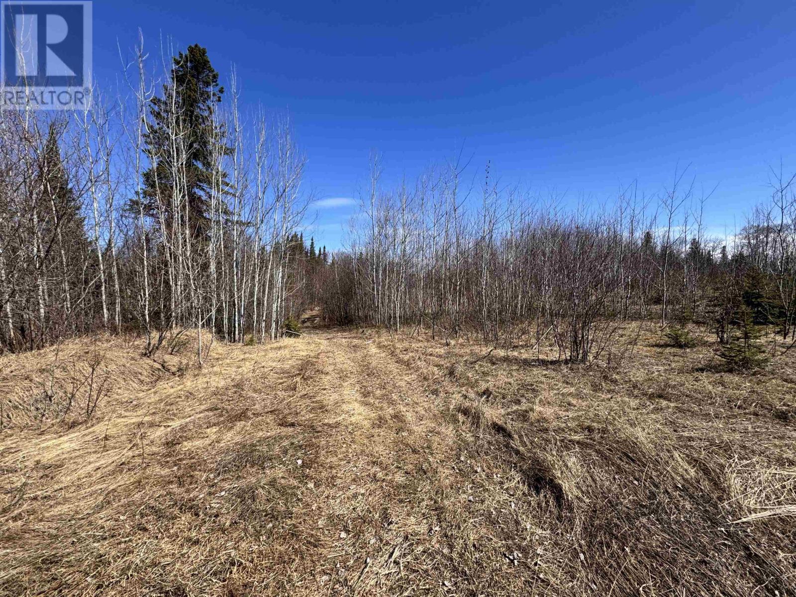 66 Hwy 105, Red Lake, Ontario  P0V 2M0 - Photo 7 - TB2600994