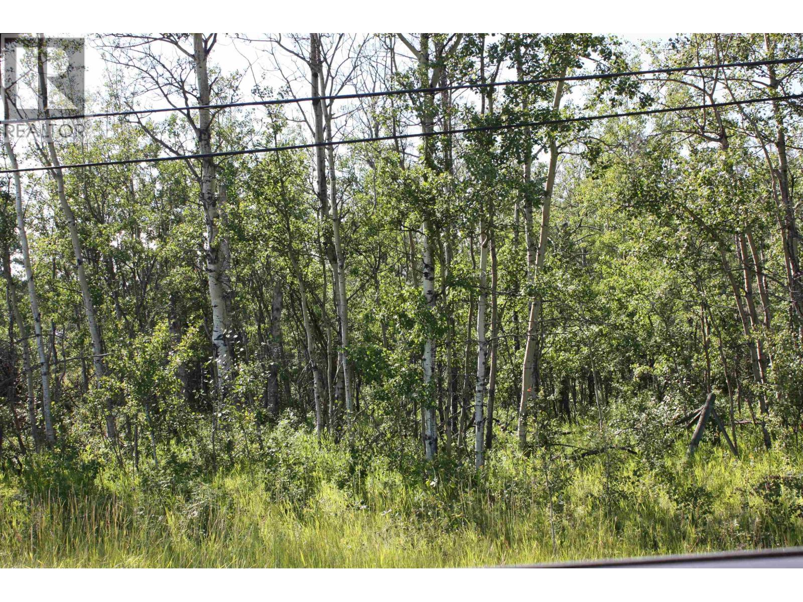 Lot 2 Rose Prairie Road, Fort St. John, British Columbia  V1J 8C4 - Photo 7 - R3122140
