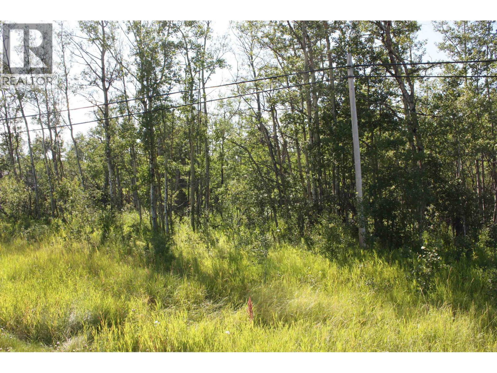 Lot 2 Rose Prairie Road, Fort St. John, British Columbia  V1J 8C4 - Photo 6 - R3122140