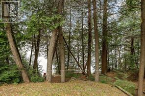 157 Gibson Bay Road, Whitestone, Ontario P0A 1G0 - Photo 36 - X13115820