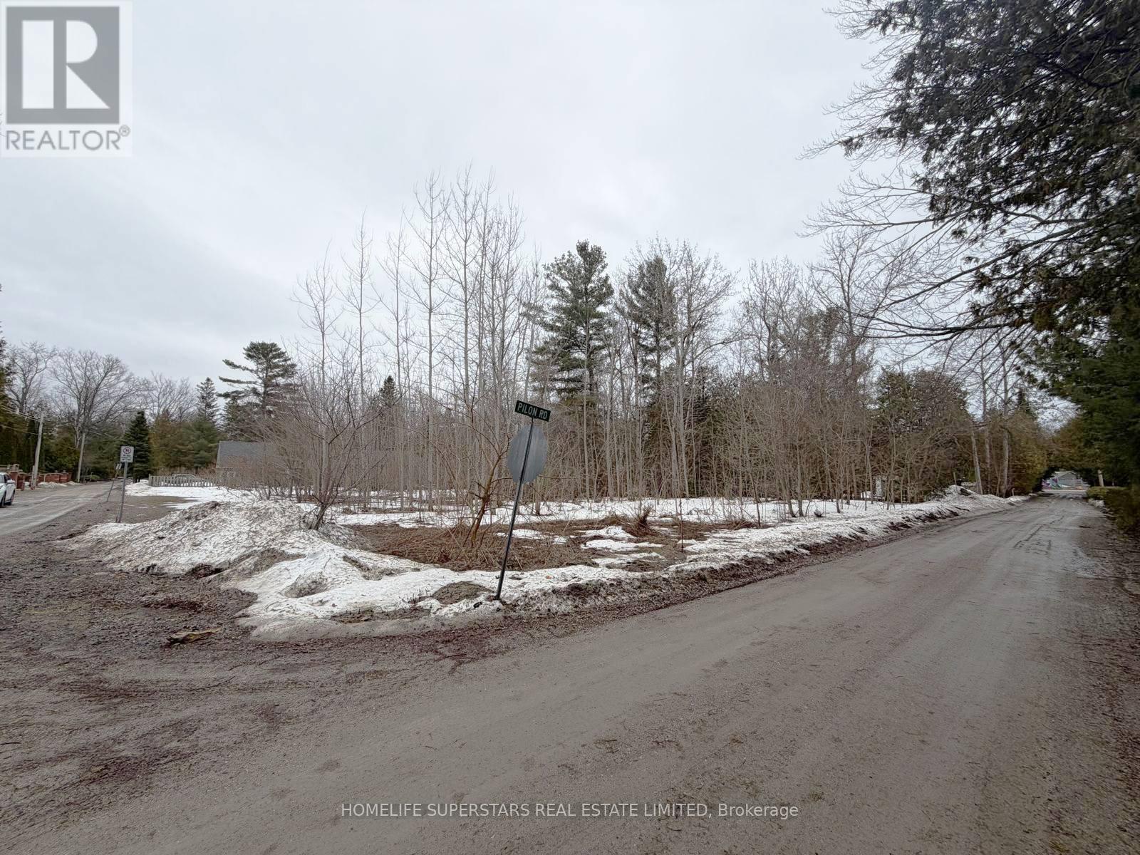 Lt 147 Pilon Road, Tiny, Ontario  L0L 2J0 - Photo 7 - S13102732