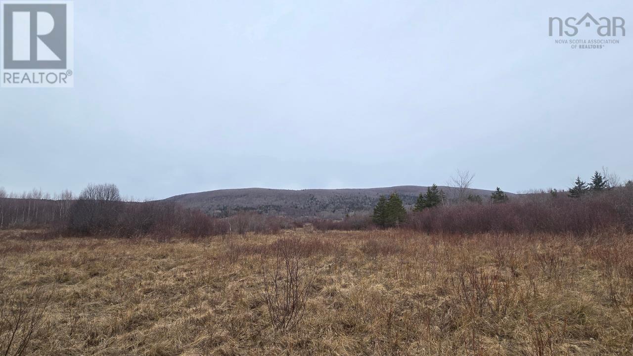 Land Clarence Road, Clarence, Nova Scotia  B0S 1C0 - Photo 4 - 202525953