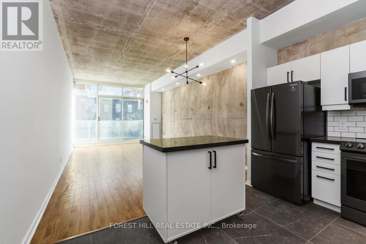 411 - 388 Richmond Street, Toronto, Ontario  M5V 3P1 - Photo 4 - C13115826