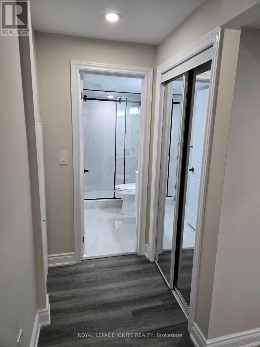 Bsmt - 12 Pelister Drive, Markham, Ontario  L6E 0M6 - Photo 15 - N13115904