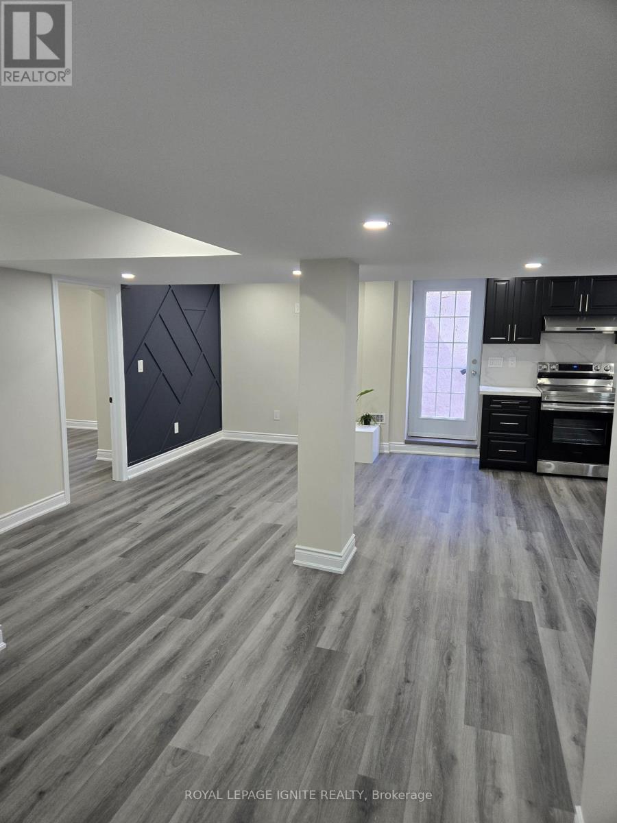 Bsmt - 12 Pelister Drive, Markham, Ontario  L6E 0M6 - Photo 3 - N13115904