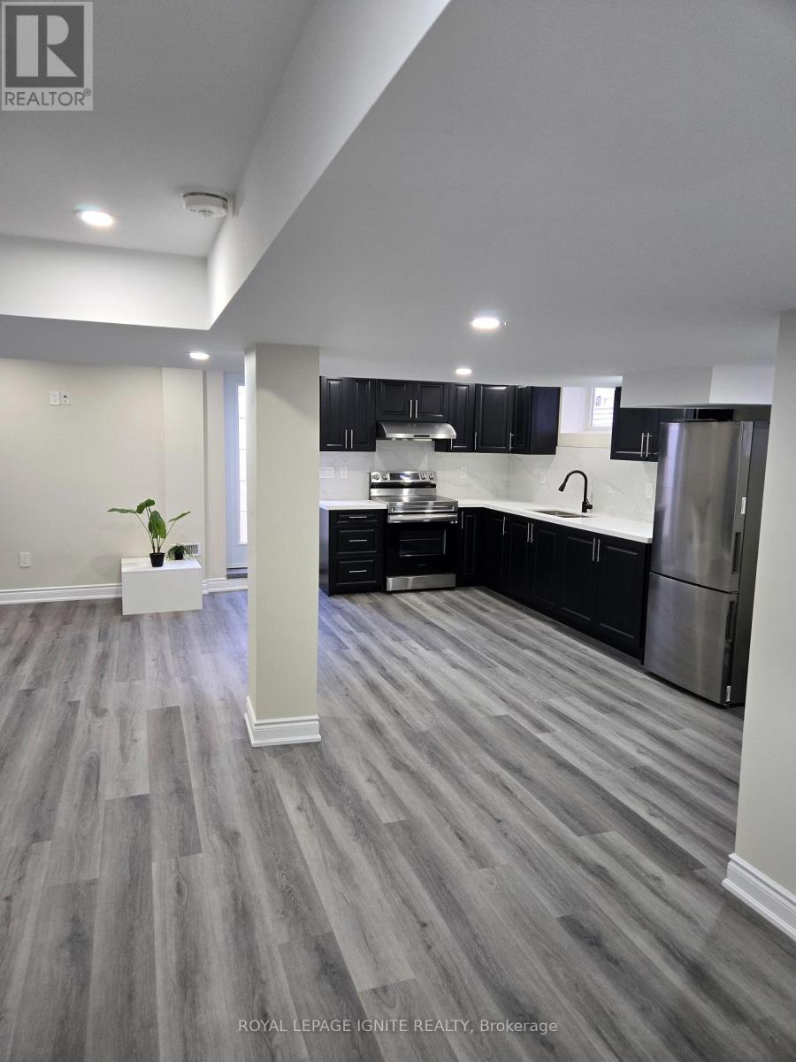 Bsmt - 12 Pelister Drive, Markham, Ontario  L6E 0M6 - Photo 5 - N13115904