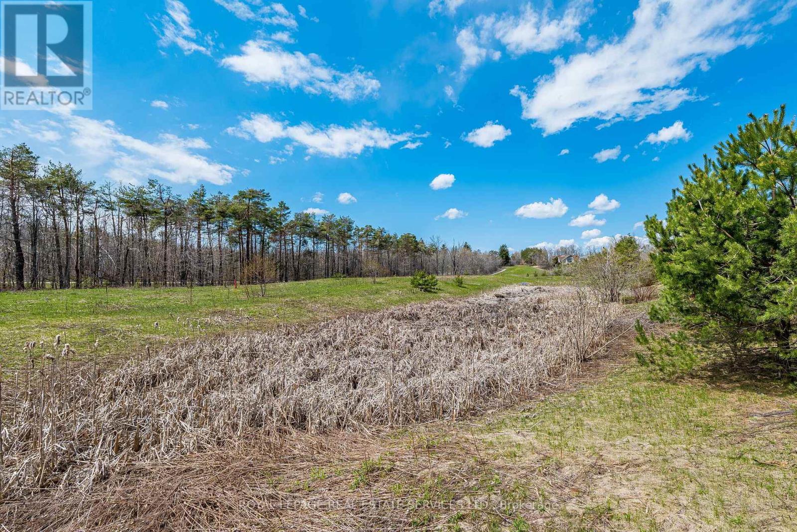 40 Landscape Drive, Oro-Medonte (Horseshoe Valley), Ontario  L0L 2L0 - Photo 47 - S13115882