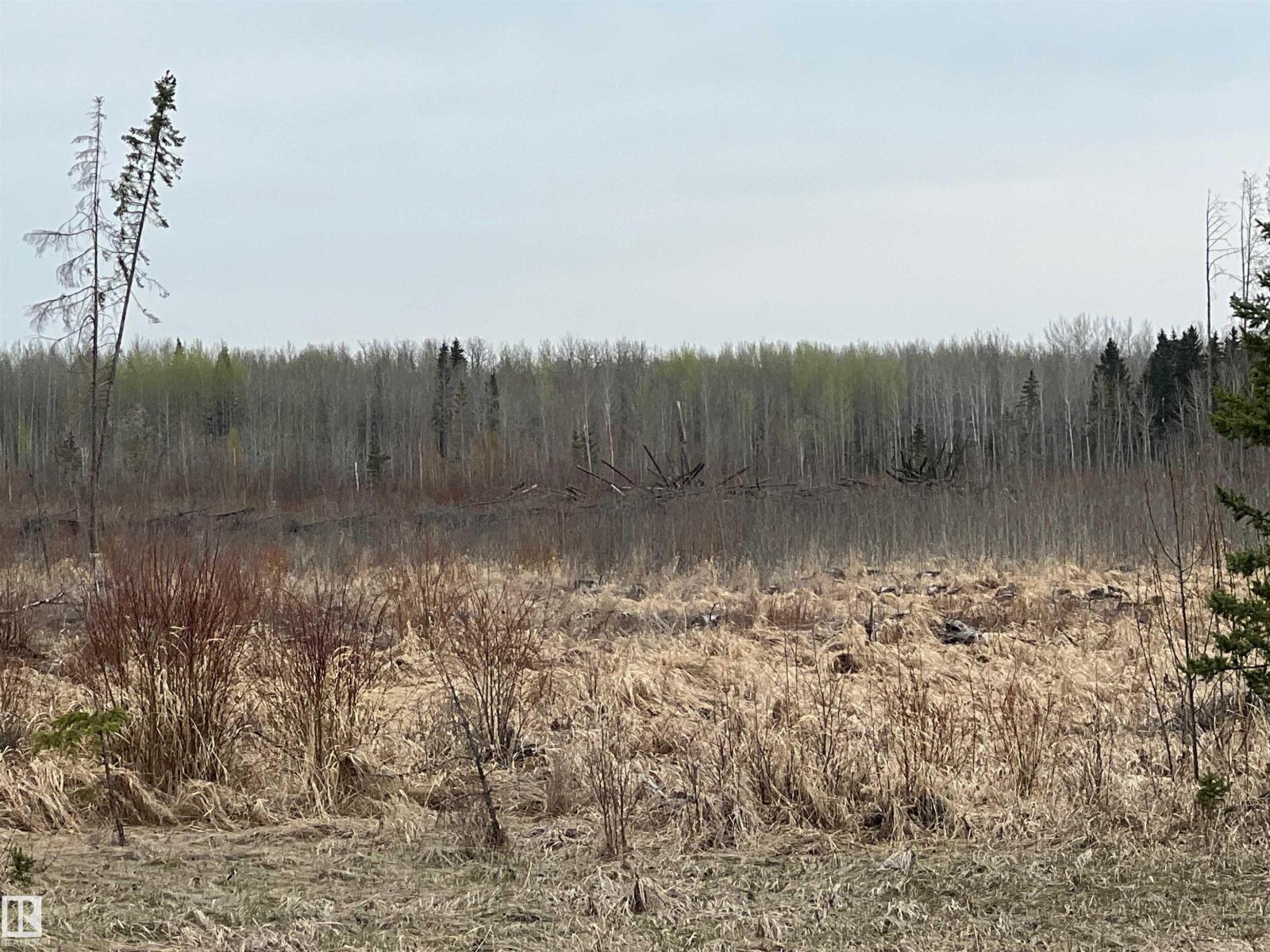 Twp 484 & Rr84, Rural Brazeau County, Alberta  T7A 2A1 - Photo 4 - E4484555