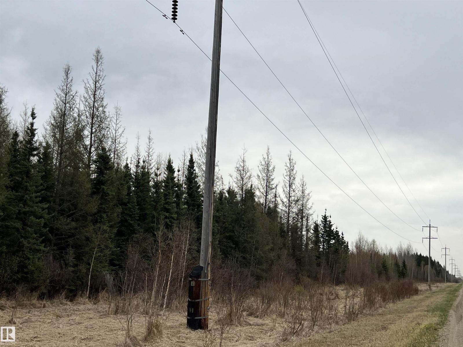 Twp 484 & Rr84, Rural Brazeau County, Alberta  T7A 2A1 - Photo 9 - E4484555