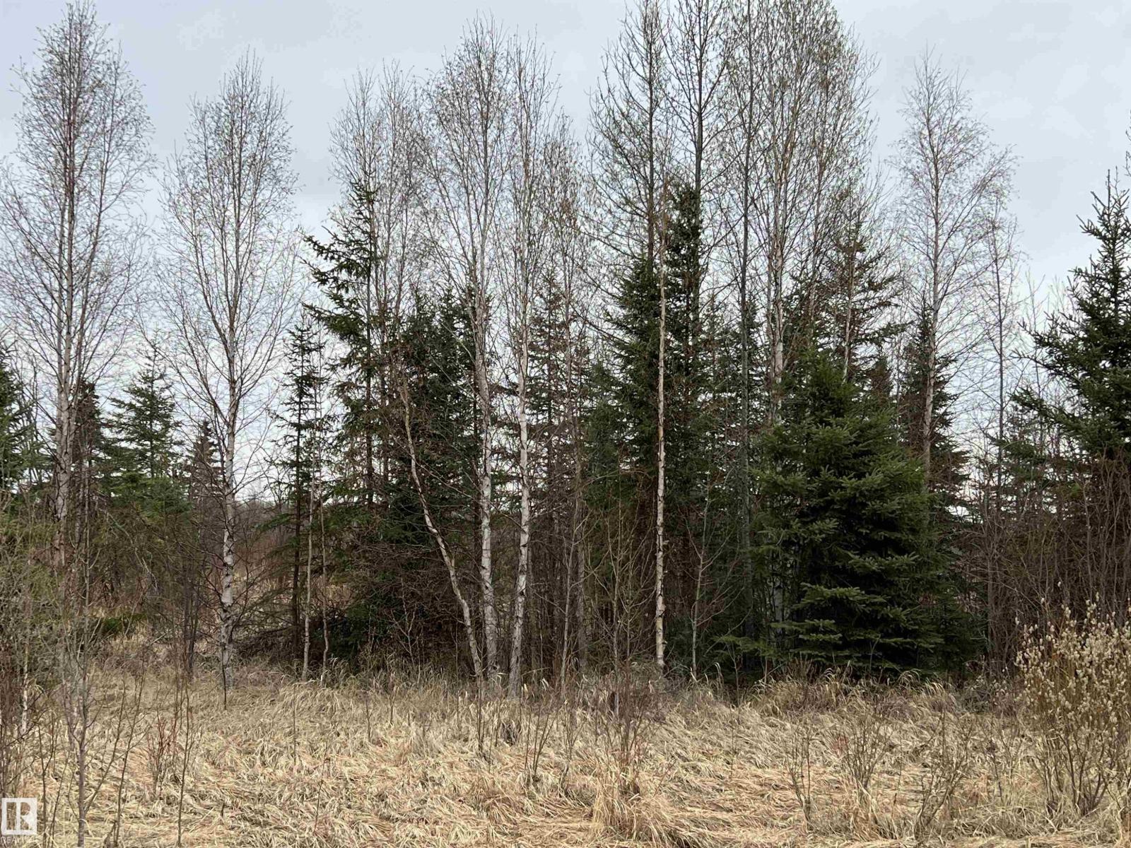 Twp 484 & Rr84, Rural Brazeau County, Alberta  T7A 2A1 - Photo 5 - E4484555