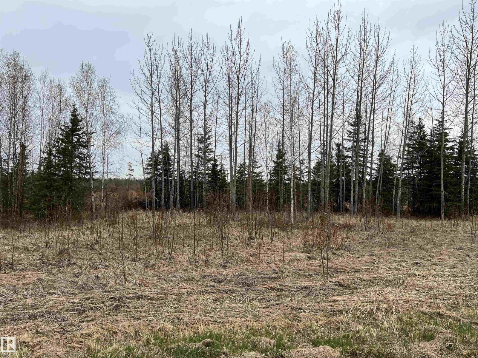 Twp 484 & Rr84, Rural Brazeau County, Alberta  T7A 2A1 - Photo 7 - E4484555