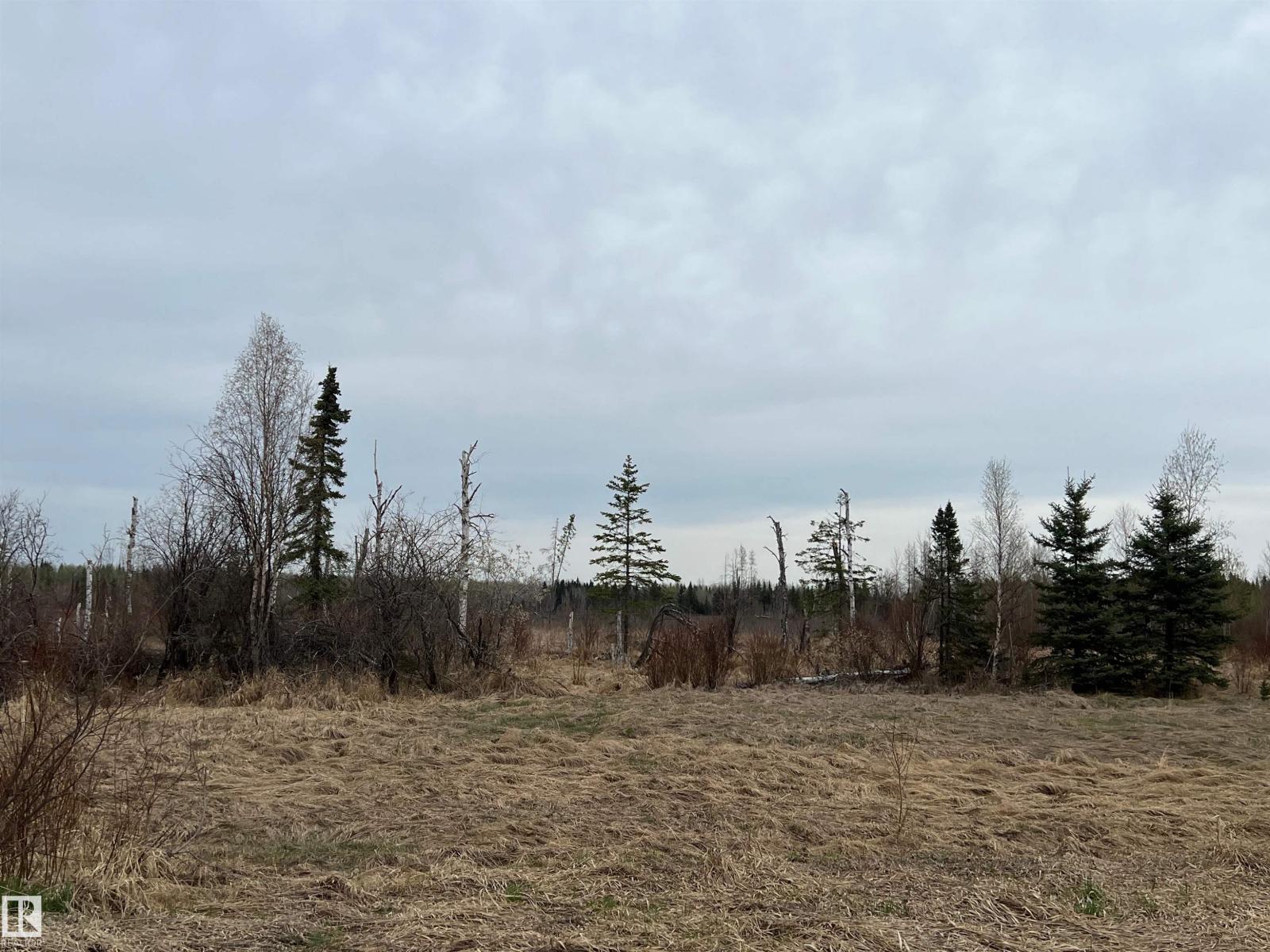 Twp 484 & Rr84, Rural Brazeau County, Alberta  T7A 2A1 - Photo 3 - E4484555