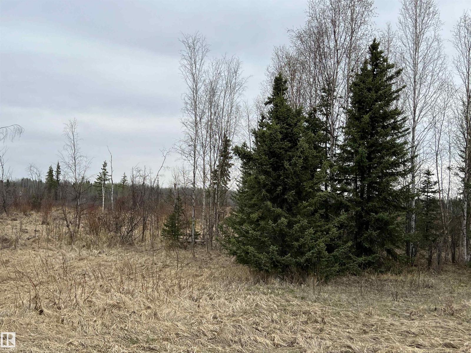 Twp 484 & Rr84, Rural Brazeau County, Alberta  T7A 2A1 - Photo 6 - E4484555