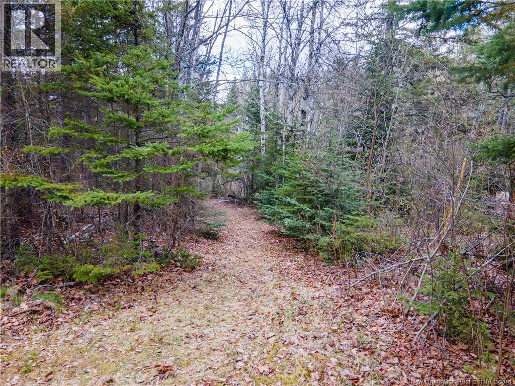 10 Lausanne Court, Waterford, New Brunswick  E4E 4X7 - Photo 37 - NB139243