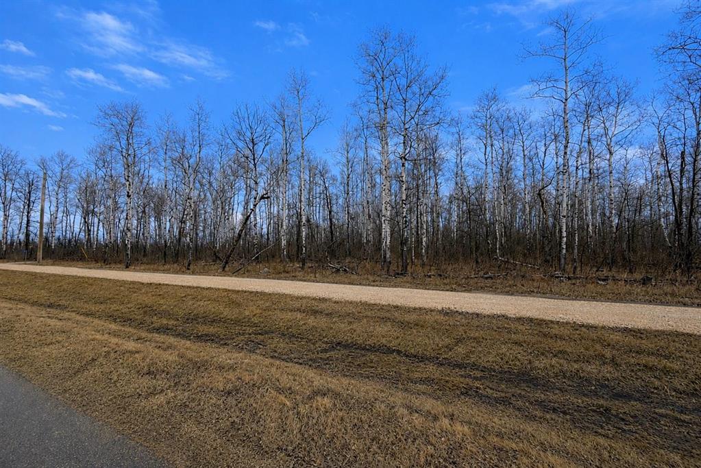 13 Lillys Cove, La Broquerie, Manitoba  R0A 0W2 - Photo 0 - 202607762