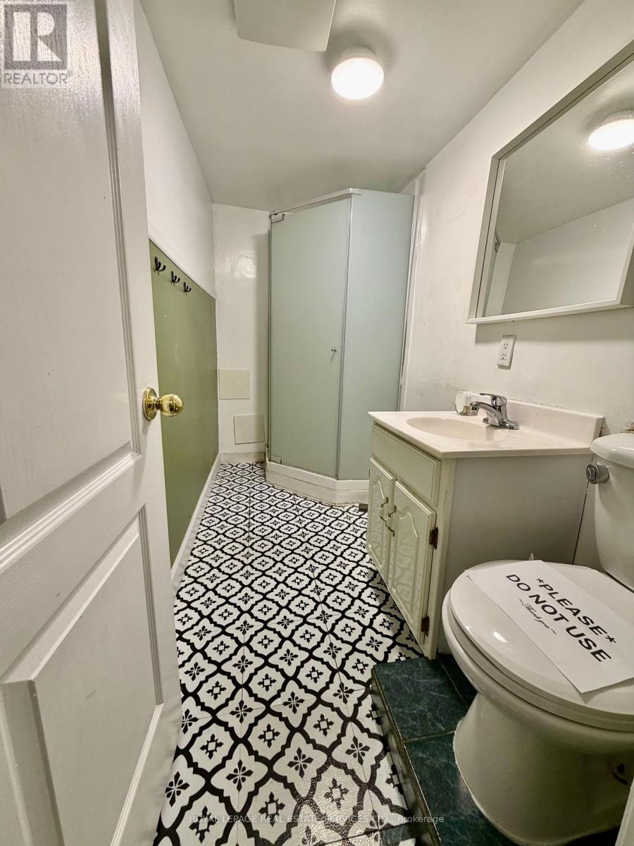 Basement - 115 Clansman Trail, Mississauga, Ontario  L4Z 3H4 - Photo 20 - W12984046