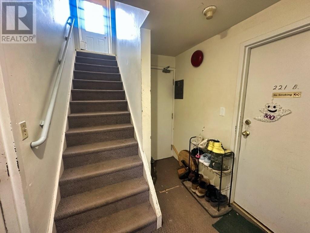 221 & 223 Bruce Street, Thunder Bay, Ontario  P7A 5W8 - Photo 7 - TB253587