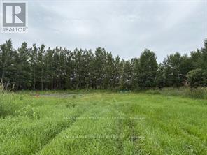 6878 Boundary Road, Ottawa, Ontario K4R 1E5 - Photo 11 - X13116822
