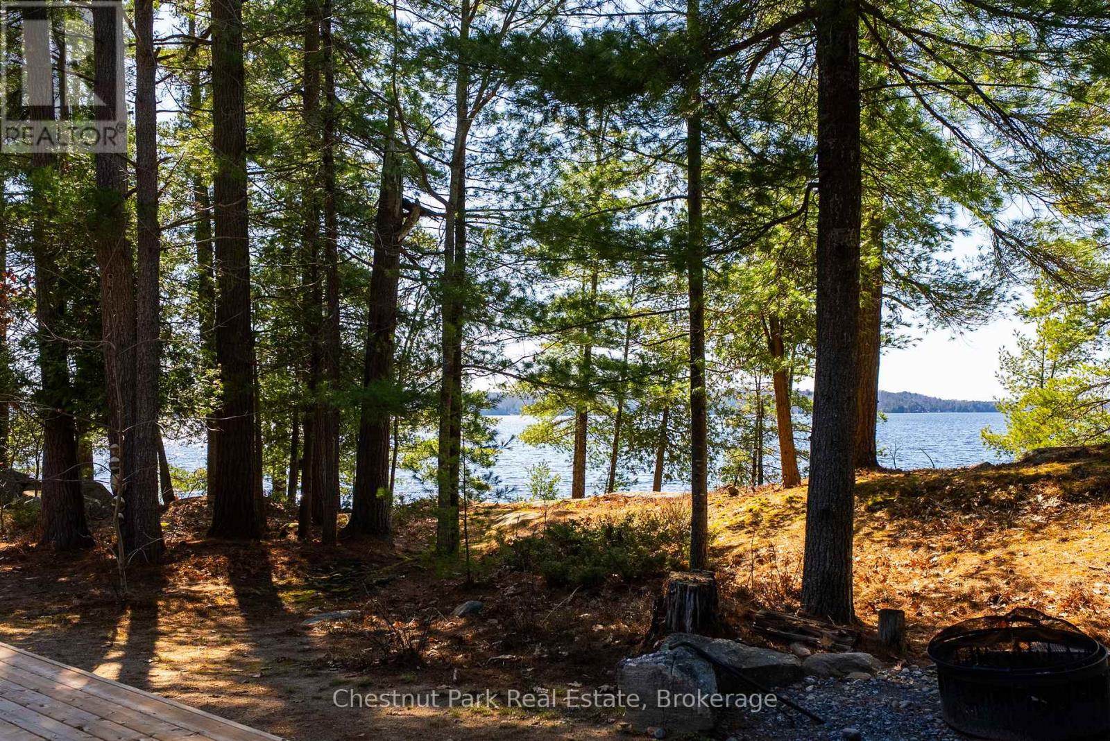1226 Rosseau Lake Road 3 Road, Muskoka Lakes, Ontario  P0B 1M0 - Photo 11 - X13116606
