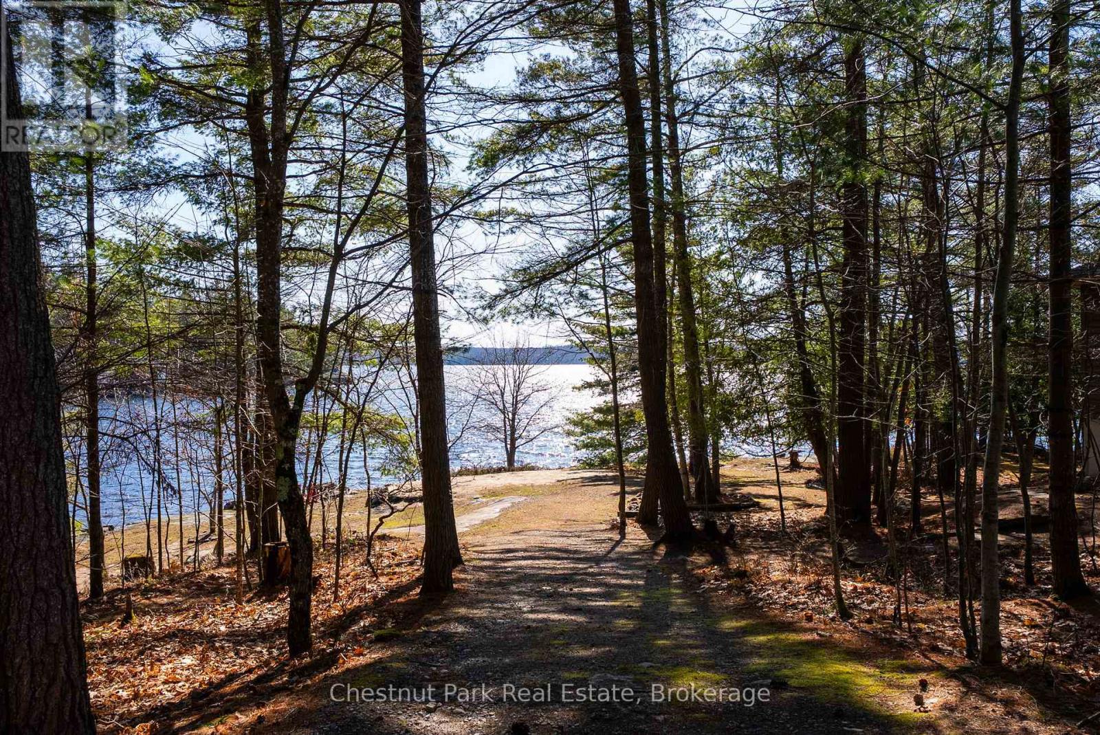 1226 Rosseau Lake Road 3 Road, Muskoka Lakes, Ontario  P0B 1M0 - Photo 13 - X13116606