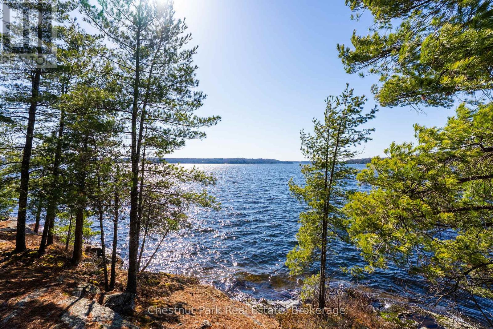 1226 Rosseau Lake Road 3 Road, Muskoka Lakes, Ontario  P0B 1M0 - Photo 18 - X13116606