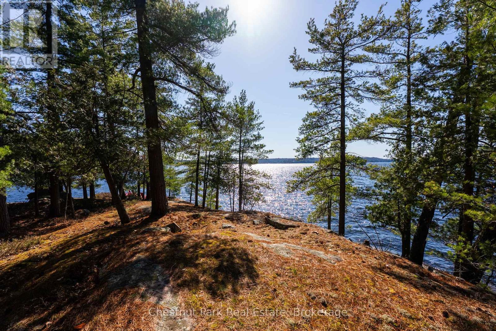 1226 Rosseau Lake Road 3 Road, Muskoka Lakes, Ontario  P0B 1M0 - Photo 19 - X13116606