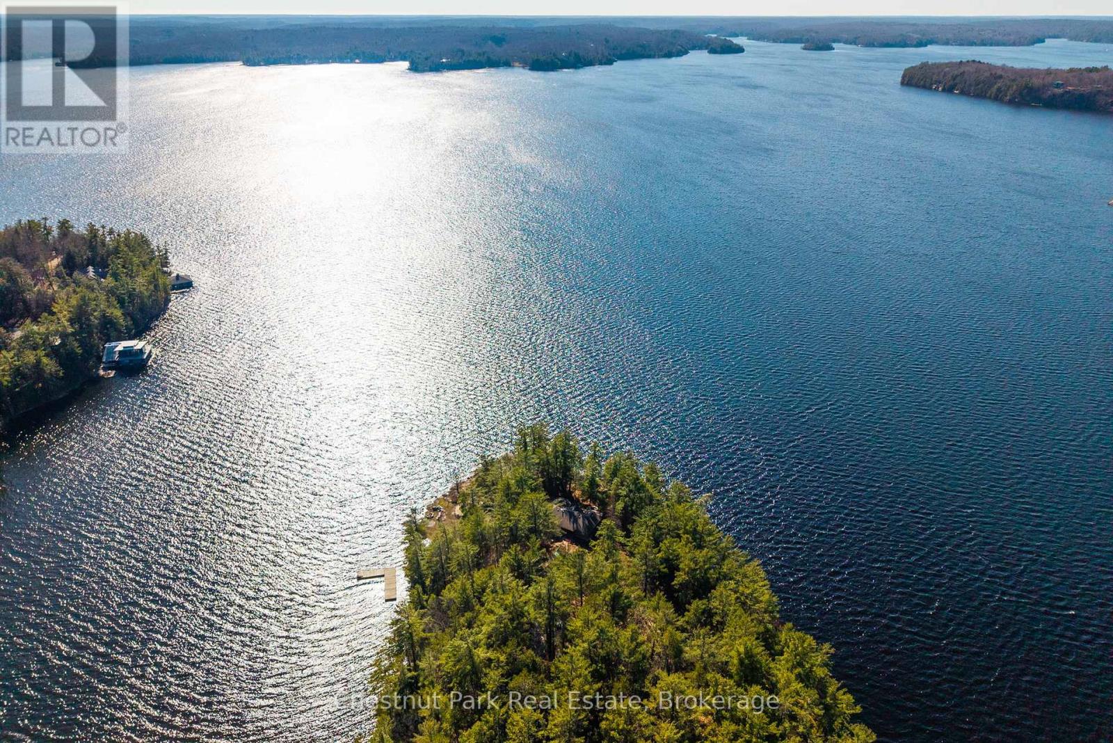 1226 Rosseau Lake Road 3 Road, Muskoka Lakes, Ontario  P0B 1M0 - Photo 4 - X13116606