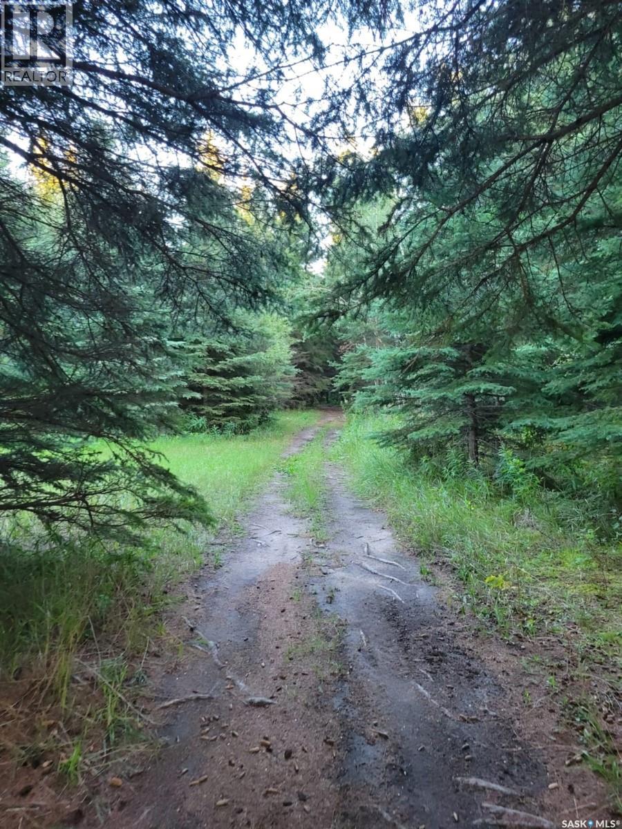 901 Brightsand Place, Mervin Rm No.499, Saskatchewan  S0M 2T0 - Photo 38 - SK035666