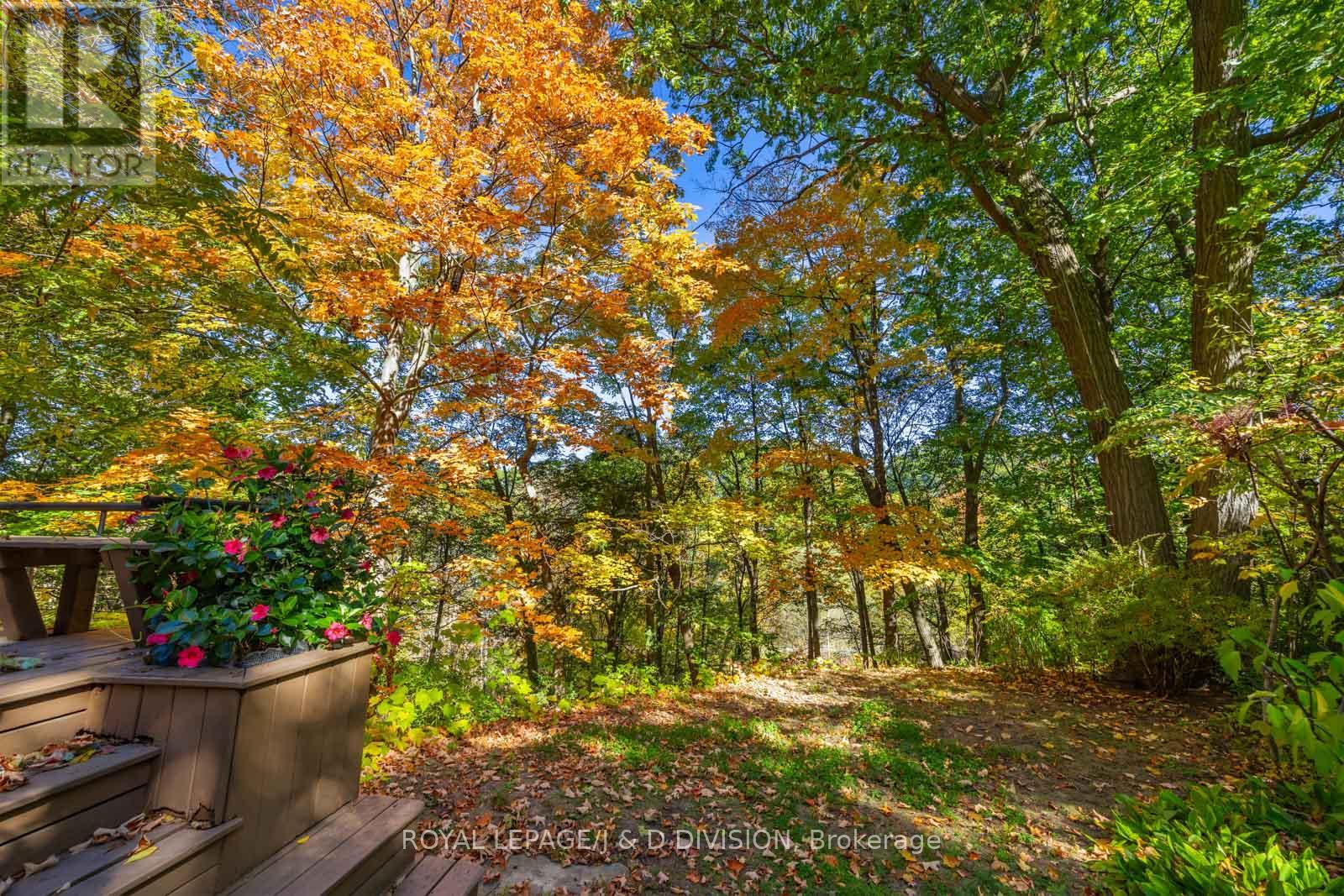 183 Hudson Drive, Toronto, Ontario  M4T 2K7 - Photo 33 - C13116870