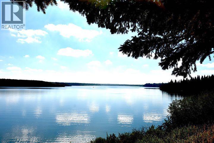 29, 25054 South Pine Lake Road, Rural Red Deer County, Alberta  T0M 1R0 - Photo 9 - A2310240