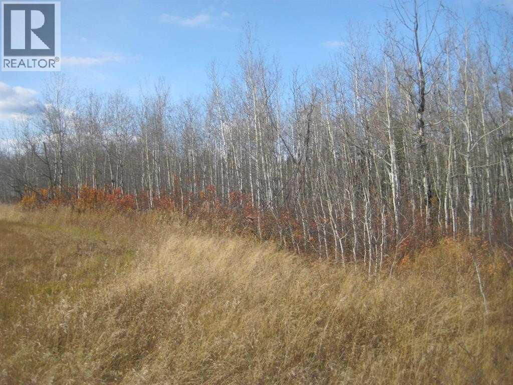 Township 920,  Range Road 223, Rural Northern Lights, Alberta  T0H 2M0 - Photo 11 - A2304171
