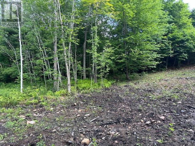 44 Mcnaughts Road, Seguin, Ontario  P2A 2W9 - Photo 6 - X13117030