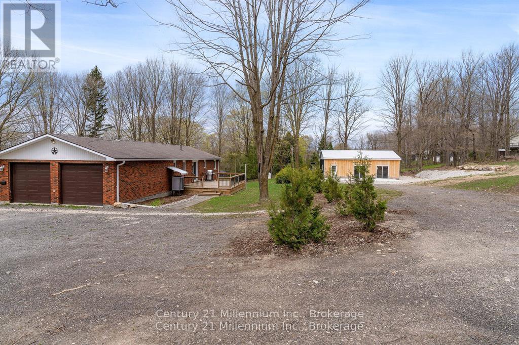 205 Napoleon Street, Grey Highlands, Ontario N0C 1E0 - Photo 12 - X13117226