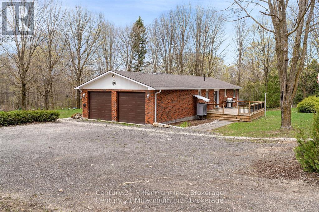 205 Napoleon Street, Grey Highlands, Ontario N0C 1E0 - Photo 13 - X13117226
