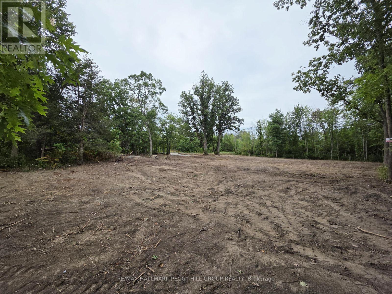 88 Musky Bay Road, Georgian Bay, Ontario  L0K 1S0 - Photo 7 - X13022024
