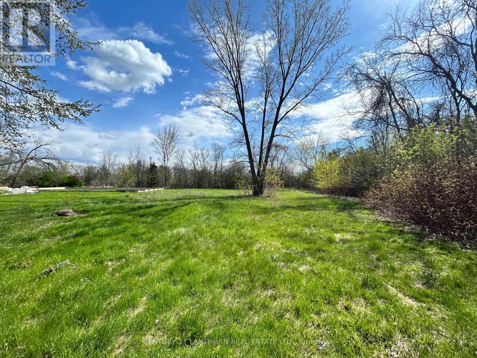 784 County Road 28, Prince Edward County, Ontario  K8N 4Z7 - Photo 4 - X13117170