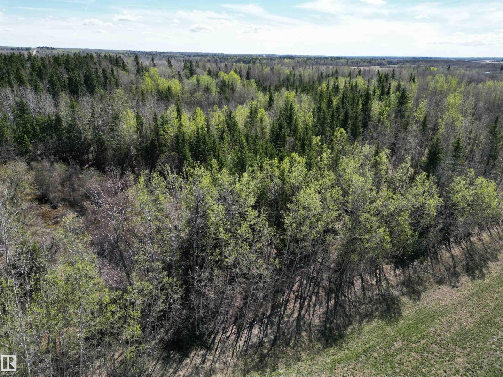 Twp 562, Rural Lac Ste. Anne County, Alberta  T0E 1V0 - Photo 8 - E4487159