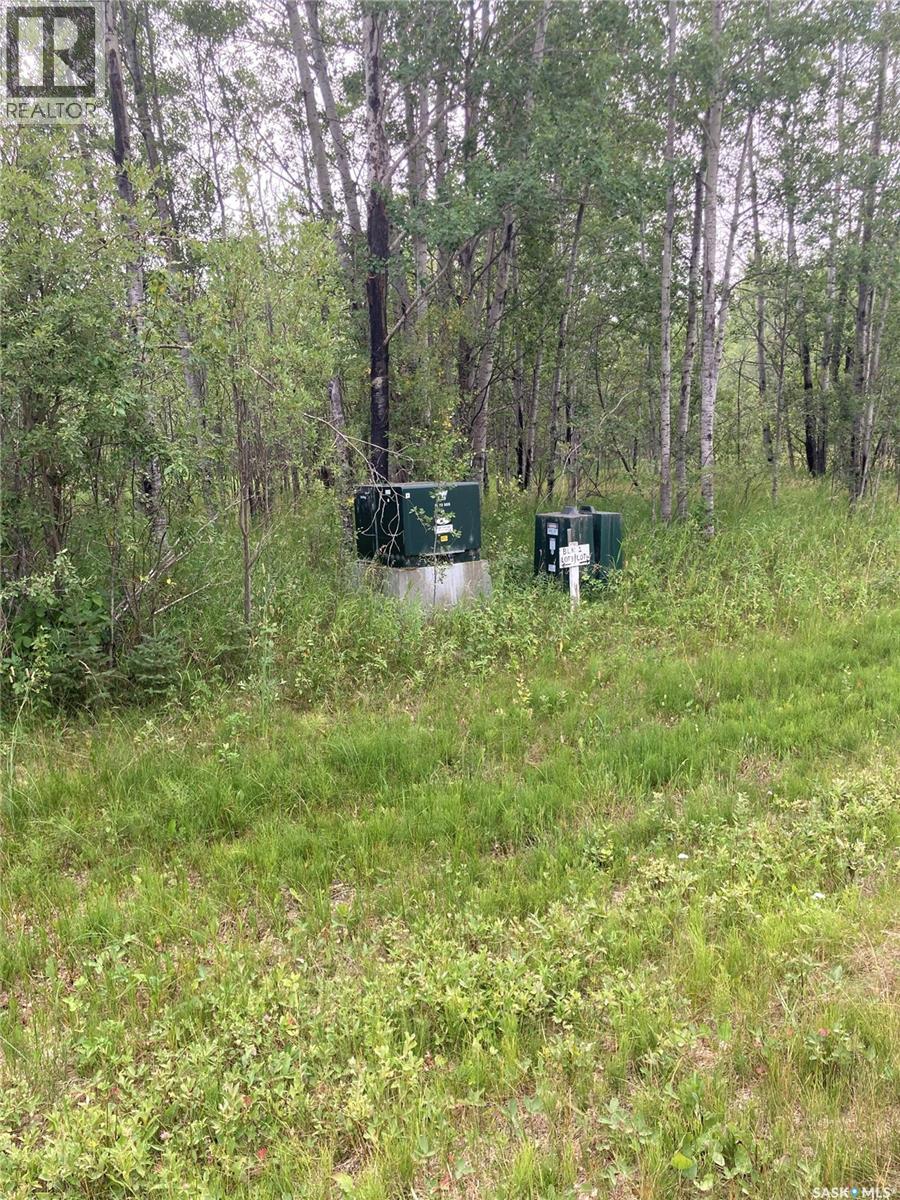 10 Acre Delaronde Lake Acreage, Big River Rm No. 555, Saskatchewan  S0J 0E0 - Photo 2 - SK035719