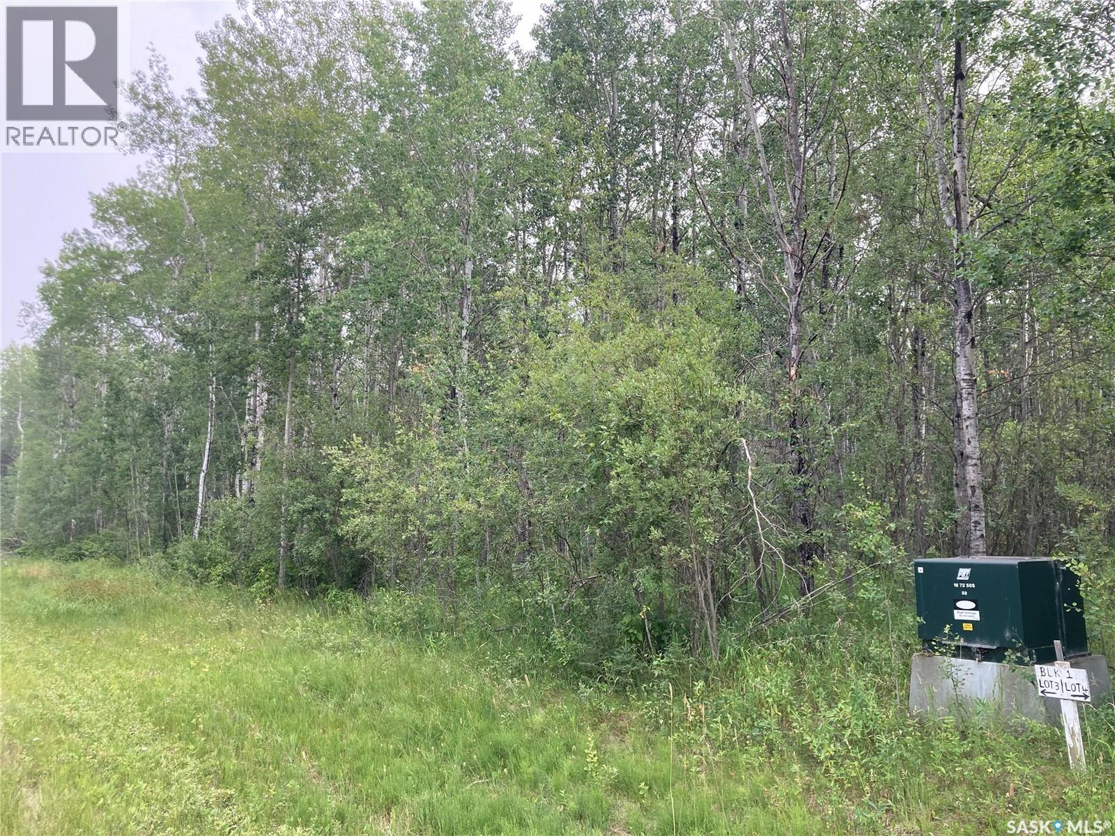 10 Acre Delaronde Lake Acreage, Big River Rm No. 555, Saskatchewan  S0J 0E0 - Photo 4 - SK035719