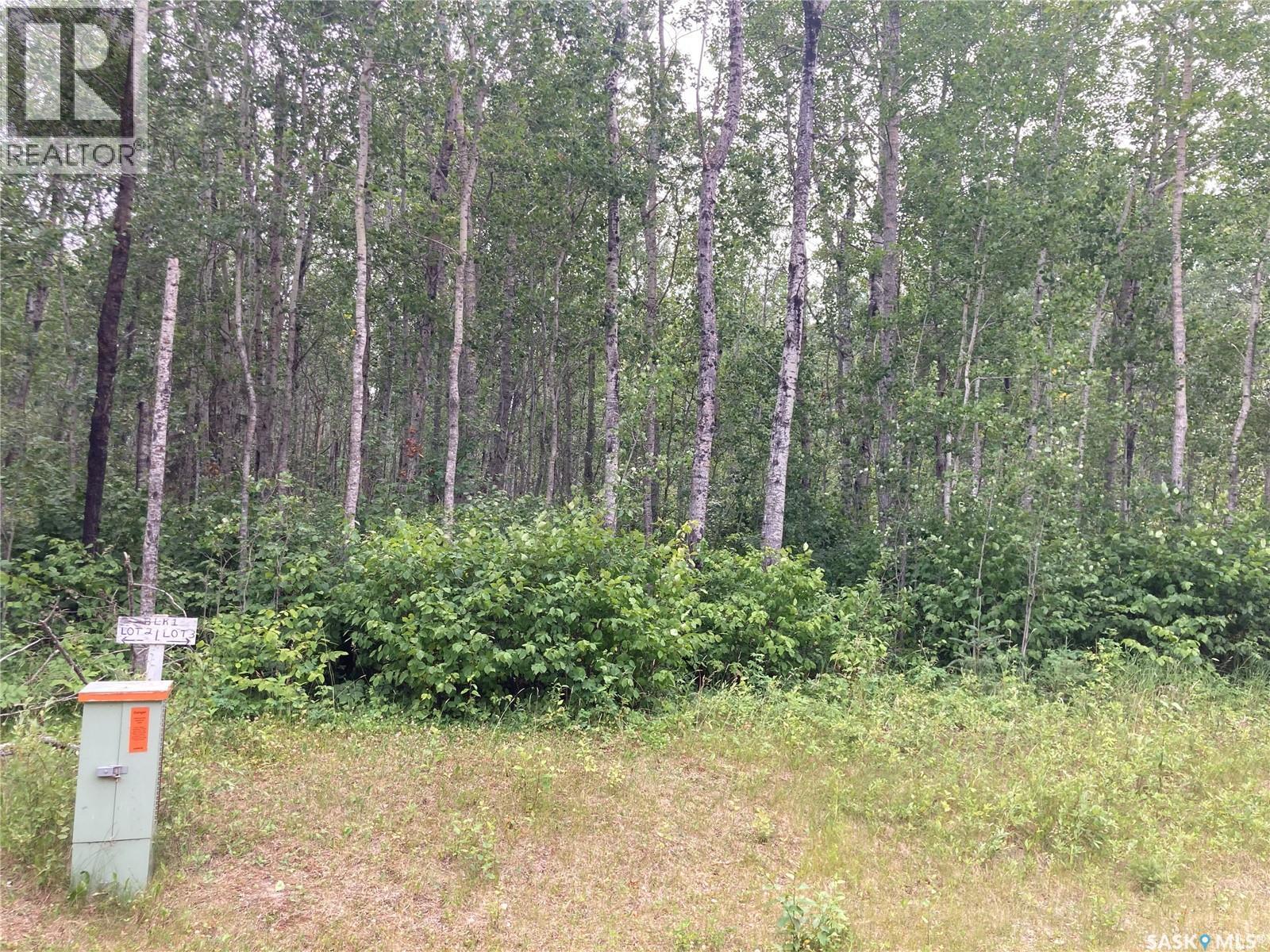 10 Acre Delaronde Lake Acreage, Big River Rm No. 555, Saskatchewan  S0J 0E0 - Photo 5 - SK035719