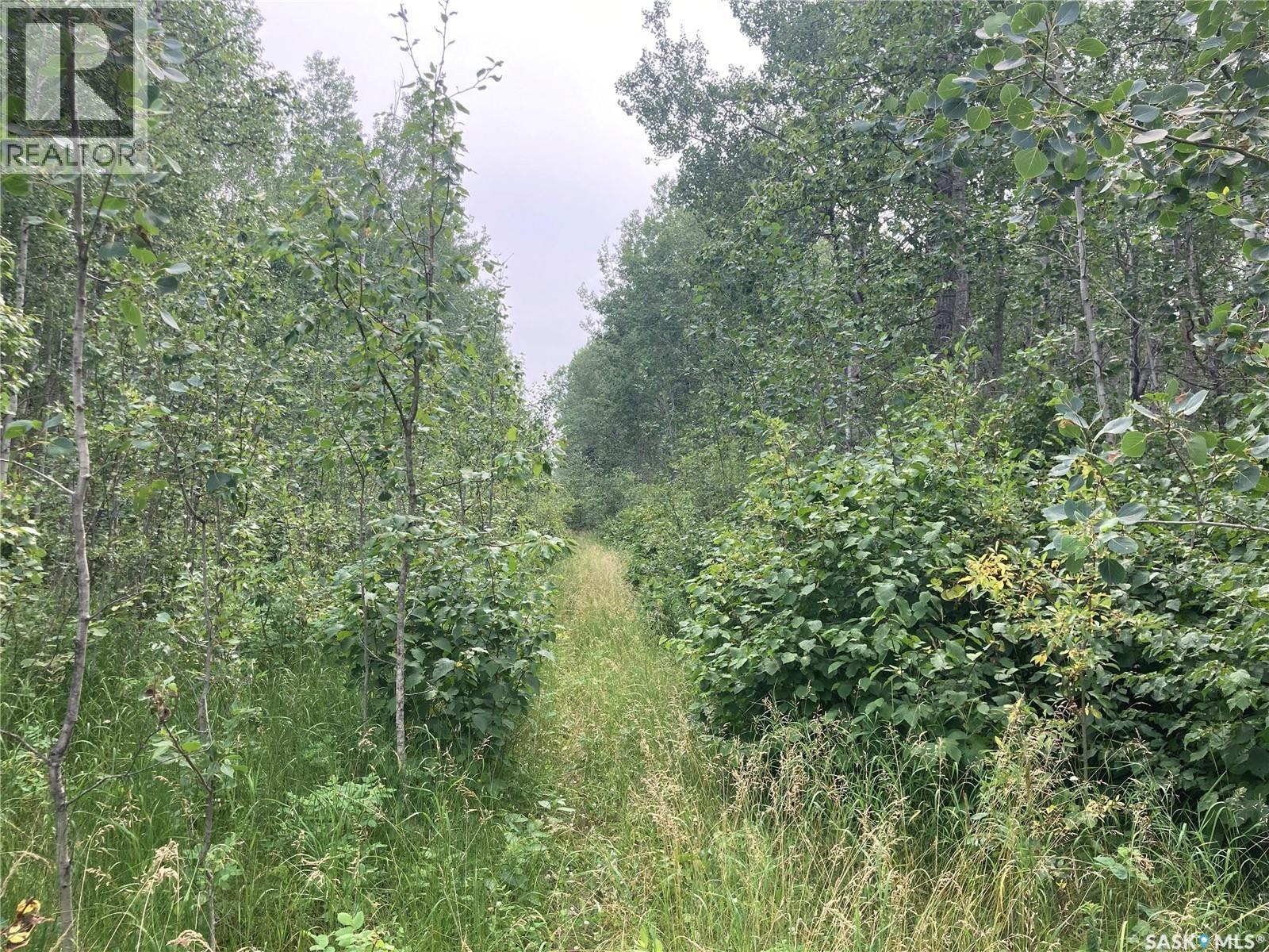 10 Acre Delaronde Lake Acreage, Big River Rm No. 555, Saskatchewan  S0J 0E0 - Photo 7 - SK035719