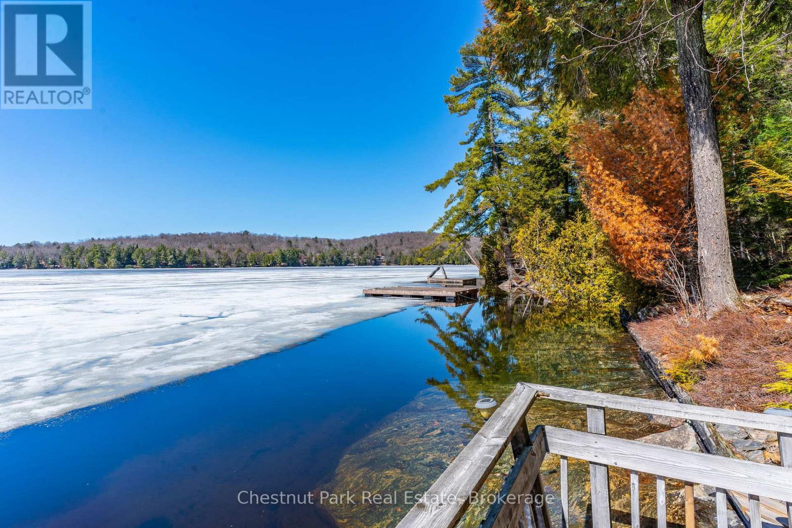 1173 Watts Road, Dysart Et Al, Ontario  K0M 1S0 - Photo 5 - X12780112