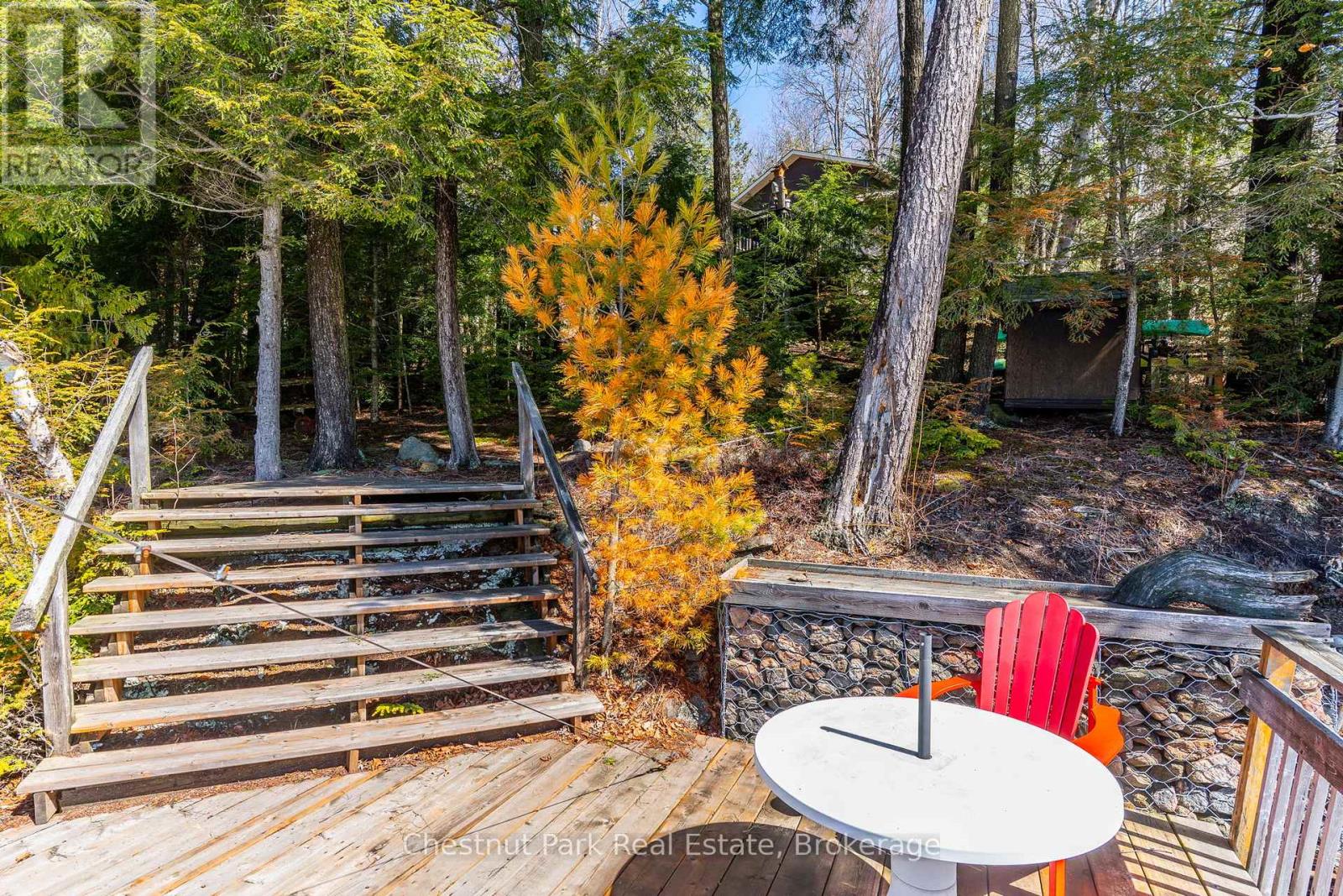 1173 Watts Road, Dysart Et Al, Ontario  K0M 1S0 - Photo 6 - X12780112