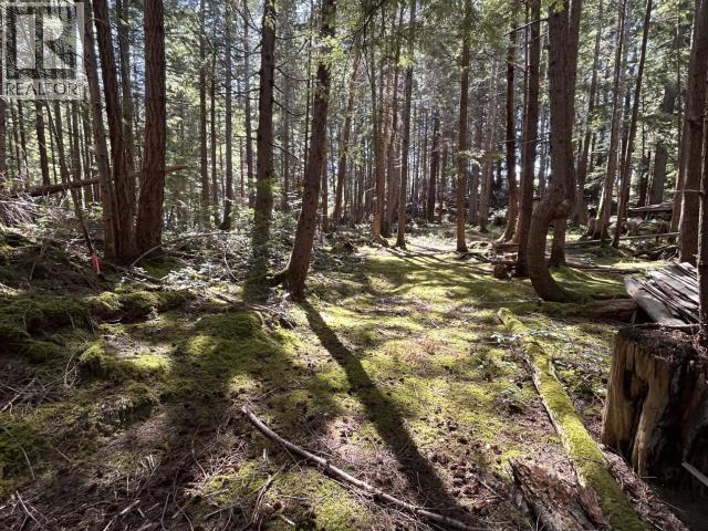 1908 Vancouver Blvd, Savary Island, British Columbia - Photo 3 - 19870