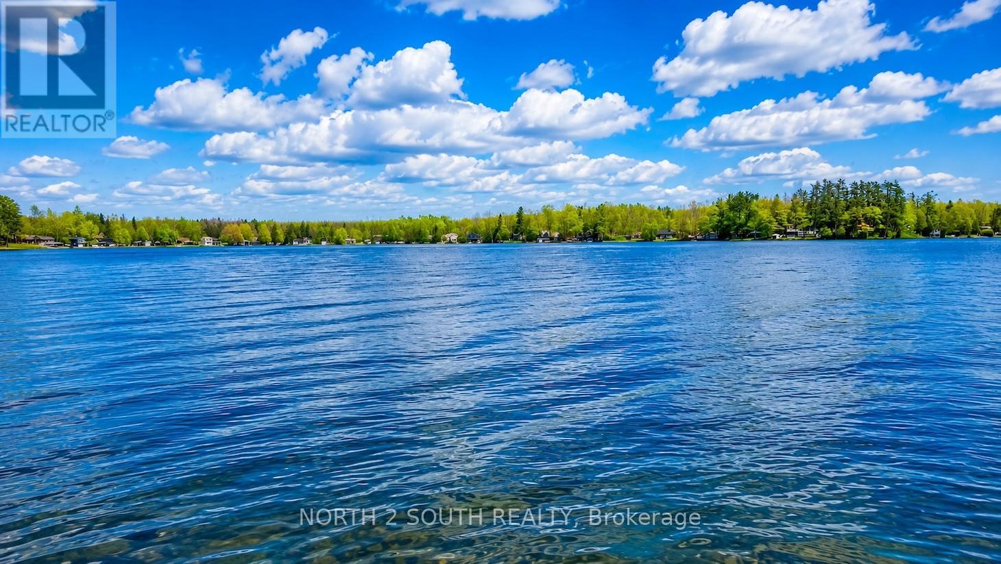 123 Fells Point Road, Kawartha Lakes, Ontario  K0M 1N0 - Photo 15 - X13117632